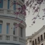 Palacio de los Duques Gran Meliá: galería