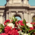 Urso Hotel & Spa: galería