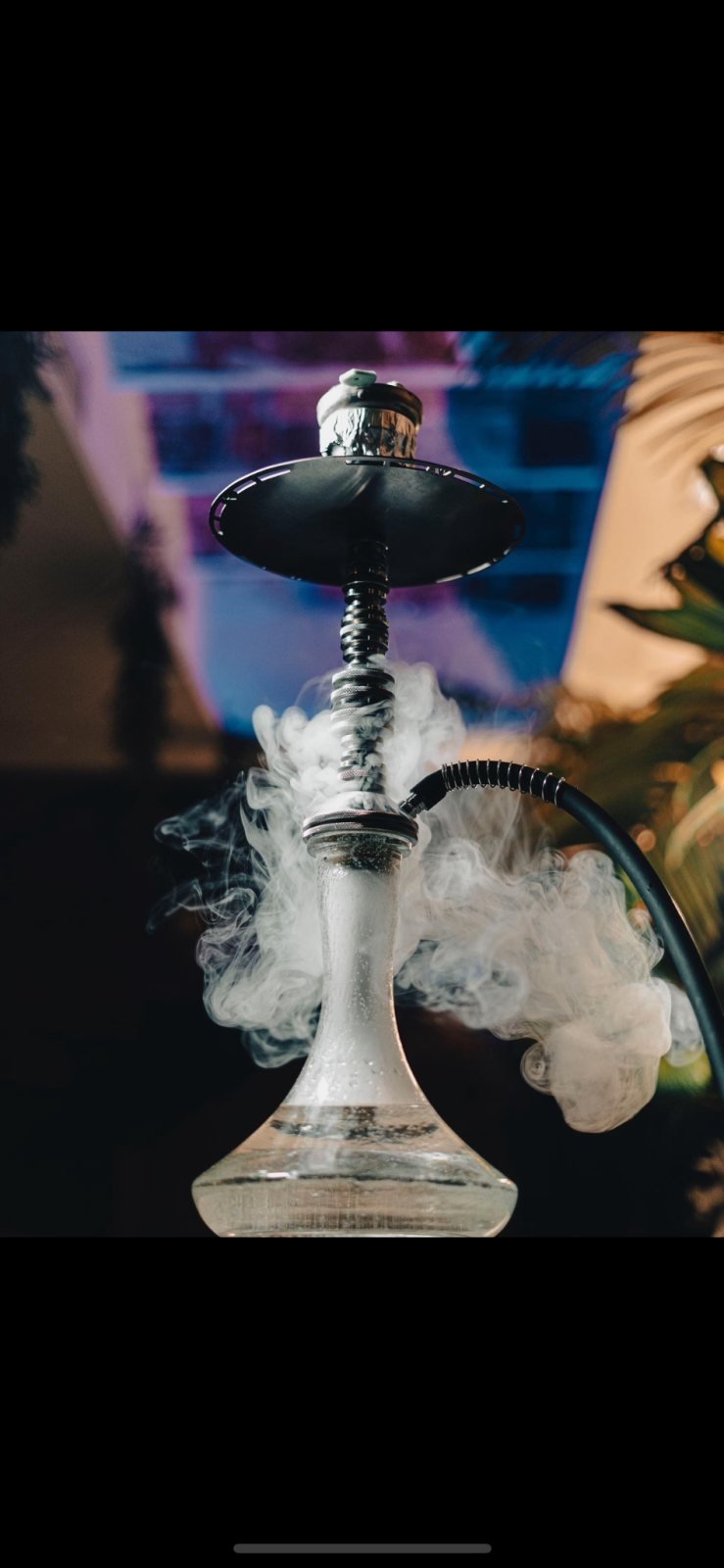 Shambala Lounge: gallery