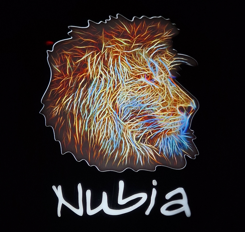 Logo de Nubia Lounge