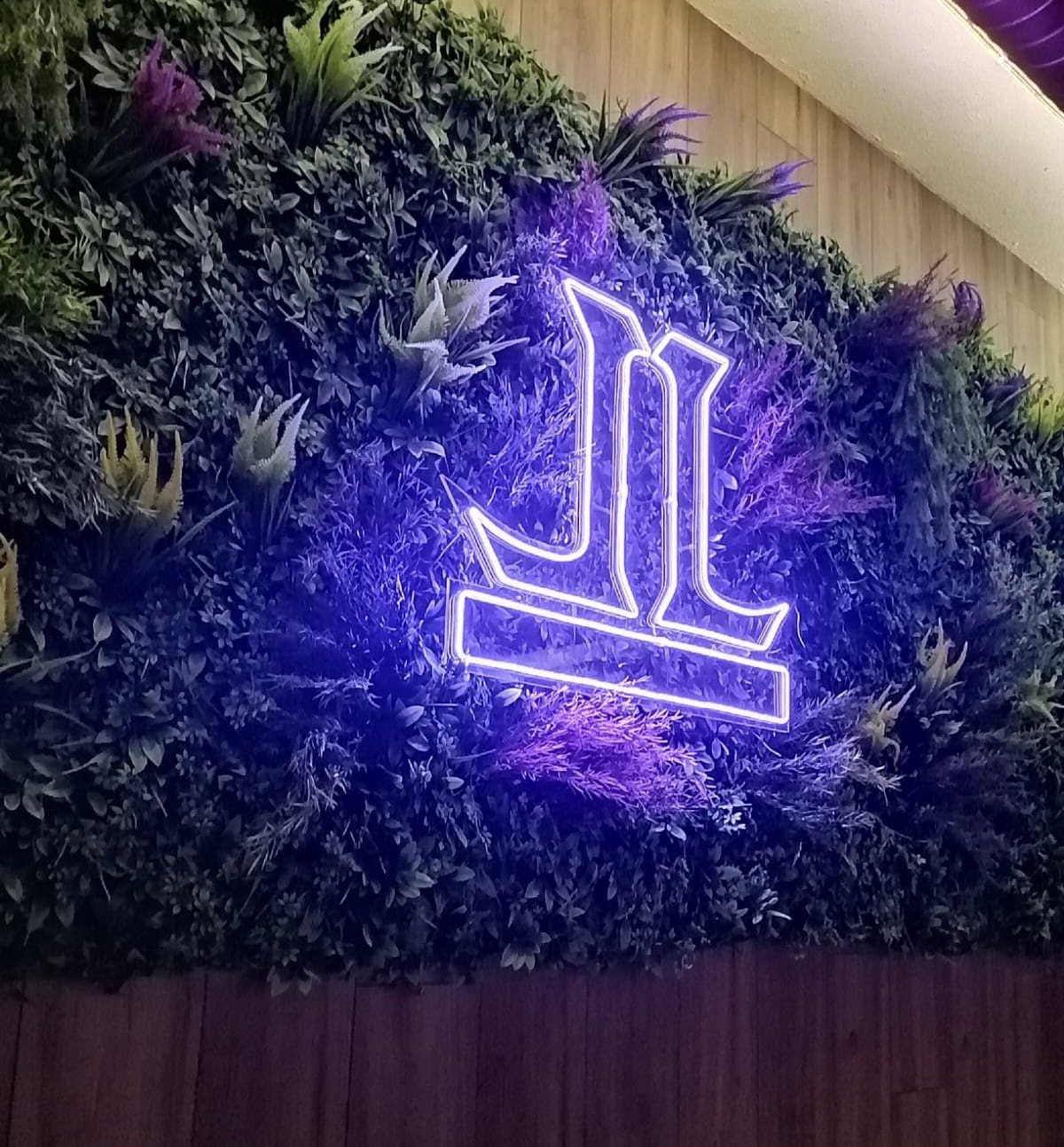 Loyal Lounge: gallery