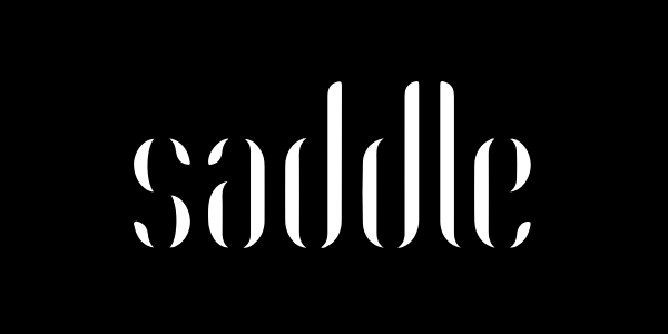 Saddle logo