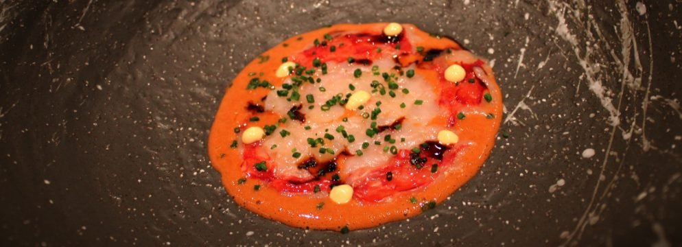 Ricardo Sanz Wellington: gallery