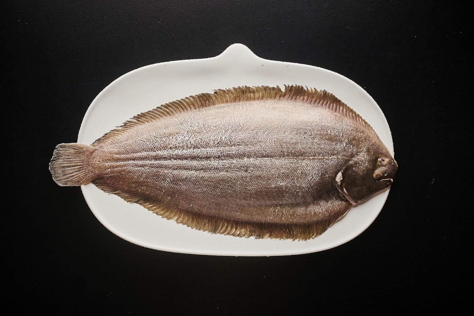 La Tasquita de Enfrente: gallery