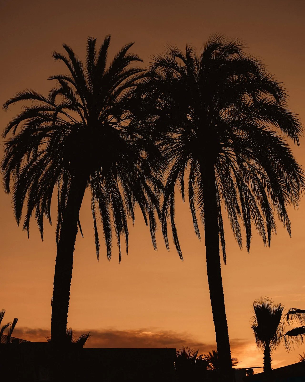 Playa Soleil: galería